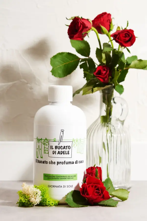 cl500-dds_3 cl500-dds_3