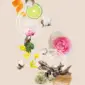 fiori-di-cotone_1