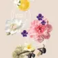 peonia_2